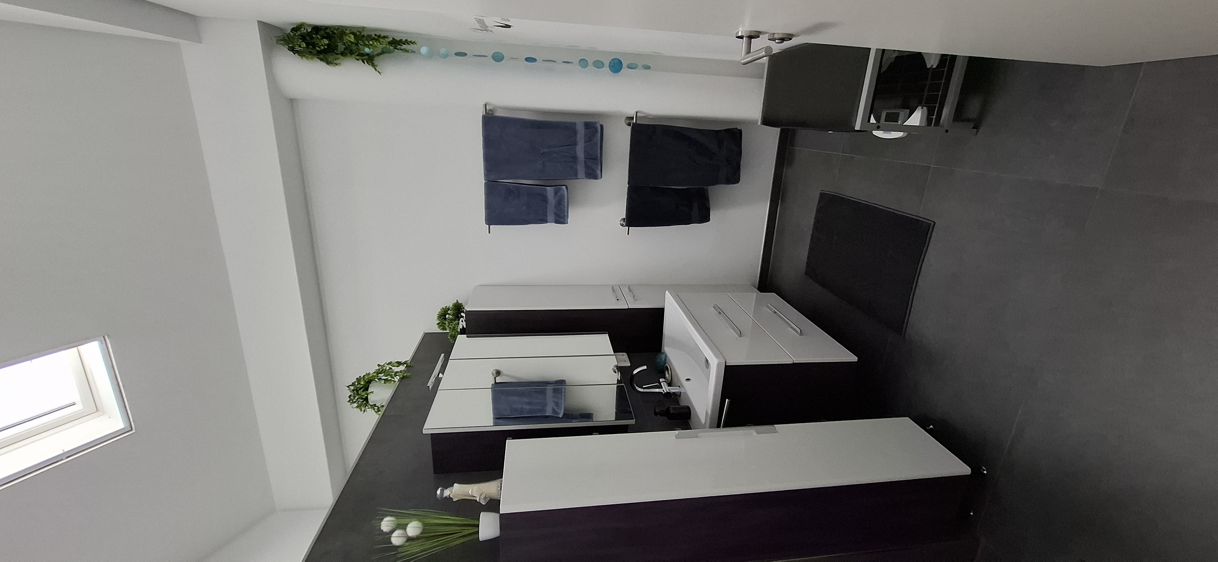 Vorderer Bereich des Badezimmers mit hoher Decke und Dachfenster